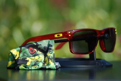 Holbrook Jupiter camo.jpg
