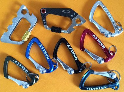 Photo de famille - Large Carabiner.jpg